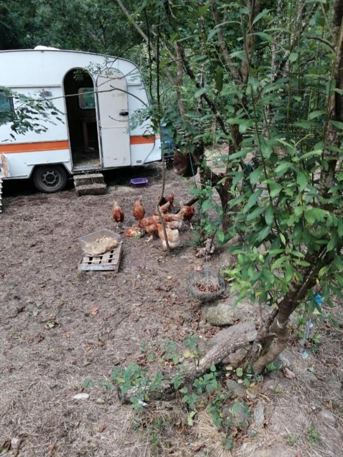 Les Roches Chambre D'Hotes Servant Экстерьер фото